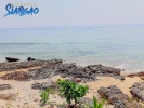 384 sqm Burgos Beach Front Siargao For Sale