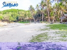 6 hectares White Sand Beach Front Burgos Siargao for Sale